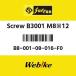 Sur-ron  Screw B3001 M812