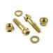 PRO BOLT Pro болт нержавеющая сталь подрамник болт комплект цвет : Gold Caponord 1200 APRILIA Aprilia прочее подрамник опция * ремонт детали 