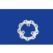BRAKING breaking wave disk NSF100 NSR Mini NSR50 NSR80 XR100 motard XR50 motard HONDA Honda тормоз тормозной диск тормоз 
