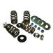 FEULINGf.-e кольцо высокий load Be DIN g клапанная пружина [HIGH LOAD BEEHIVE VALVE SPRINGS] 09-12(NU)XR1200 04-17 XL клапанная пружина двигатель 