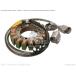 CMS �������२�� (210030099) STATOR KAWASAKI ���掠�� �쥮��졼�������쥯���ե����� ������