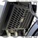 ODAXo Dux [Powerbronze] радиатор покрытие цвет : янтарь VULCAN S KAWASAKI Kawasaki сердцивина радиатора a защита * маслоохладитель core защита охлаждающий относящийся 
