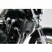 HONDA Honda <PROJECT BIG-1 Final Edition память товар >TSR радиатор core защита Project BIG1 цвет : черный (0SSZPS54C1BK0) CB1300 SUPER FOUR