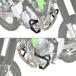 ZETA RACING �W�[�^ ���[�V���O �p�C�v�G���W���K�[�h KLX230 SHERPA S KLX230DF KLX230SM KAWASAKI �J���T�L �G���W���K�[�h �t���[�� �֘A�摜3