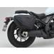 DAYTONA Daytona дождевик DHS-39 для сумка для дождевик кузов для сумка * кейс 