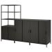 [IKEA/ Ikea / почтовый заказ ]TROTTENto Lotte n шкаф combination, уголь [6](29442074)