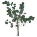 [IKEA/ Ikea / почтовый заказ ]TORKAto LUKA dry план to, пачка / eucalyptus green,70 cm[E](50638130)