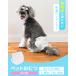 �� �I���c �y�b�g�I���c ���̃I���c ���p ���ނ� ���̎q ���X XS S M L XL ��^���p�����ނ� �V�����p�i �u�ԋz�� �t�߂�h�~ �����ɂ��� ���K ���ł��� �p�� �֘A�摜1