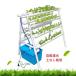  гидропонная культура комплект салон огород клубника овощи 72 дыра посадочная машина Welina большая вместимость ...... гидропонная культура комплект начинающий предназначенный компактный 