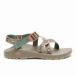 WsZ1CLASSIC chaco( chaco )(wi мужской Z1 Classic )-PADDLESILT