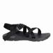 WsZ1CLASSIC chaco( chaco )(wi мужской Z1 Classic )-BLACK