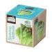 a- Tec eko культивирование комплект Re:Green Sunny lettuce 102974 свободный изучение 