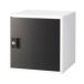  Aska сборка тип обувь box черный SB800BK 1 шт. 