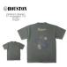 HOUSTON(hyu- камень ) PIGMENT CRACKED PRINT SOUVENIRE TEE(DRAGON)[22301]pig men to трещина do принт Hsu алый a футболка American Casual дракон трещина принт 