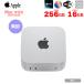 Apple Mac mini MU9D3J/A A3238 M4 2024 ладонь размер маленький размер стол [Apple M4 10 core память 16GB SSD256GB беспроводной BT серебряный ]: прекрасный товар 