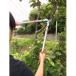 �G�o�[�O���[�� ���`�F�b�g�����}���� 50mm 5cm ���}�؂��� �͂��� �n�T�~ ���| �K�[�f�j���O ���}�؂�o�T�~ �y�� ���� ��� ���_ �}�؂�΂��� 4939736501979 �֘A�摜4
