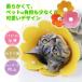 �G���U�x�X�J���[ �L �� �\�t�g ���r�ߖh�~ �X�g���X�y�� �y�� �� �L ���킢�� �������낢 ������ �_�炩�� �ȒP���� ���^ �p�㕞