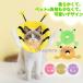 �G���U�x�X�J���[ �L �� �\�t�g ���r�ߖh�~ �X�g���X�y�� �y�� �� �L ���킢�� �������낢 ������ �_�炩�� �ȒP���� ���^ �p�㕞