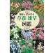  новый версия прогулка . видеть .... цветок *.. иллюстрированная книга 