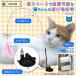 �z�Օt���L����炵 �˂�����炵 �������� �ނ�� ���� ���� ��l�V�� �O���Ȃ� �m��ߋ� �^���s�������O�b�Y �_�C�G�b�g �G�N�T�T�C�Y �ЂƂ� �֘A�摜1