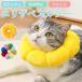 �G���U�x�X�J���[ �L �� �y�b�g �p�� ���r�� �p�㕞 ���� �a�C ���� �P�K ��� ���킢�� �\�t�g ���߉\ �y�� �m���X�g���X �J���[ �L�p ���p�h�[�i�c�^