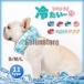 �N�[���l�b�N �Ђ��� �O�b�Y �� �y�b�g �M���Ǒ΍� �₽�� �N�[���X�k�[�h ���p �U�� �⊴���^�� ���^�� ��^�� �� �l�b�N�N�[���[