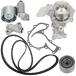 IRONTEK Engine Timing Belt Kit w/Water Pump for 1998 02 for Hond �¹�͢����