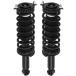 ¹͢ʡ SCITOO Rear Shock Absorber Assembly Fit for 2005 2007 for Subaru