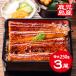 u... жарение местного производства 750g [ прямая поставка ] угорь Кагосима угорь очень большой 250g × 3 хвост .... жарение гурман Кагосима производство подарок ... . соответствует еда гурман подарок еда 