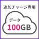 [ addition Charge exclusive use ]G40 100GB Japan domestic exclusive use 