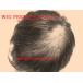 WIG PERFECT RIPAIR парик совершенно восстановление ( часть парик )