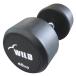 �Œ莮 �_���x�� 40kg WF 2�{�Z�b�g / �S�A���C ���o�[ �W���_���x�� 40�L�� �o�[�x�� �؃g�� �x���`�v���X �g���[�j���O��� ���� �W�� ���C���h�t�B�b�g �֘A�摜3