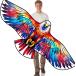  цвет Eagle * кайт, красочный . ястреб способ кайт взрослый . синий подросток предназначенный, начинающий тоже оптимальный, сборка простой, функционирование простой, упаковочный пакет приложен, кайт выход отдых . в точности 