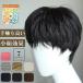  men's wig full wig for man wig wig net attaching heat-resisting wig nature wig extension wig ime changer 