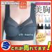 �u���W���[ ��������������u�� �V�[�����X �p�b�g�t�� �m�����C���[ �t���J�b�v ������ ���� ���S�n �P�i �e�� �e�� ������ �傫���T�C�Y