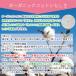 ���₷�ݎ�� �n���h�P�A �Ȏ�� �I�[�K�j�b�N�R�b�g�� �{�^�j�J���_�C ��� 1�o �����p ���{�� �ێ� �� �R�b�g�� ��r�� ��r��h�~ �A�Q ���f�B�[�X ������� �֘A�摜4