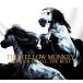 THE YELLOW MONKEY / MOTHER OF ALL THE BEST / 2004.12.08 / ٥ȥХ /  / 3CD / BVCR-18040-42