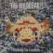 �磻��ɥϡ��� THE WILDHEARTS / �ե��å��󥰡��ե������⥢����å����� FISHING FOR LUCKIES / 1996.05.25 / ��襢��Х� / AMCE-935