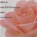  Pierre *porutoPIERRE PORTE / 100 десять тысяч книга@. роза / 1988.08.21 / Chanson шедевр. o-ke -тактный la& фортепьяно * организовать сборник / VDP-1360