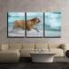 ѥͥ륢 Wall 26-Happy Dog Bulldog Running at the Sea-CVS - 24 x 36 x 3