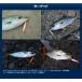 �}���AMaria �V���A�g���b�J�[SHORE TRICKER 25g �֘A�摜2