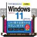  сейчас сразу можно использовать простой Windows 11 2026 год новейший версия Copilot соответствует 
