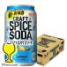  craft специя soda нет сахар чухай жестяная банка . высокий бесплатная доставка превосходный рассылка Sapporo craft специя soda 350ml×1 кейс /24шт.@(024)[IAS] TSALE