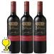  красный вино wine бесплатная доставка солнечный talitas Lee медаль zkabe Rene so- vi niyon750ml×3шт.@(003)