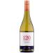  белый вино 2023 солнечный talita120 автомобиль rudone Chile 750ml