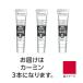 �^�[�i�[ �A�N�����K�b�V�� 20ml 22�J�[�~�� 3��