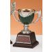 [C1710C/K-6] чемпионский кубок | высота 18cm