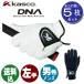(5���Z�b�g)(����p)�L���X�R KASCO DNA SUEDE �����Y�S���t�O���[�u SF-2010 �X�E�F�[�h �j���p SF2010