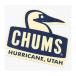 CHUMS ॹ ƥå֡ӡե Navy
