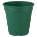 ro там pot 240 type зеленый Apple одежда -240Φ×235 земля емкость 4.0L горшок 
